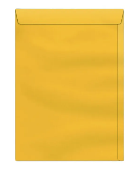 ENV SACO OURO SCRITY SKO 32 229X324 80G
